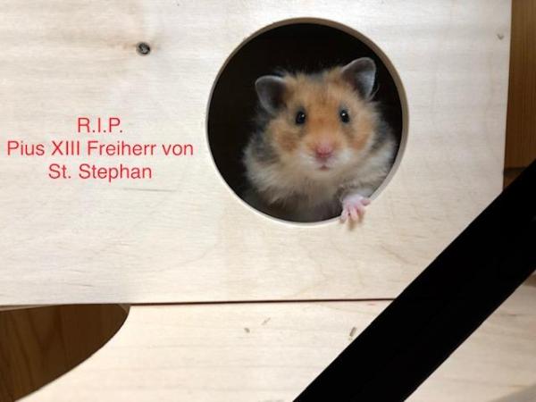 Eine Leiche und ein&nbsp;Krankheitsfall
